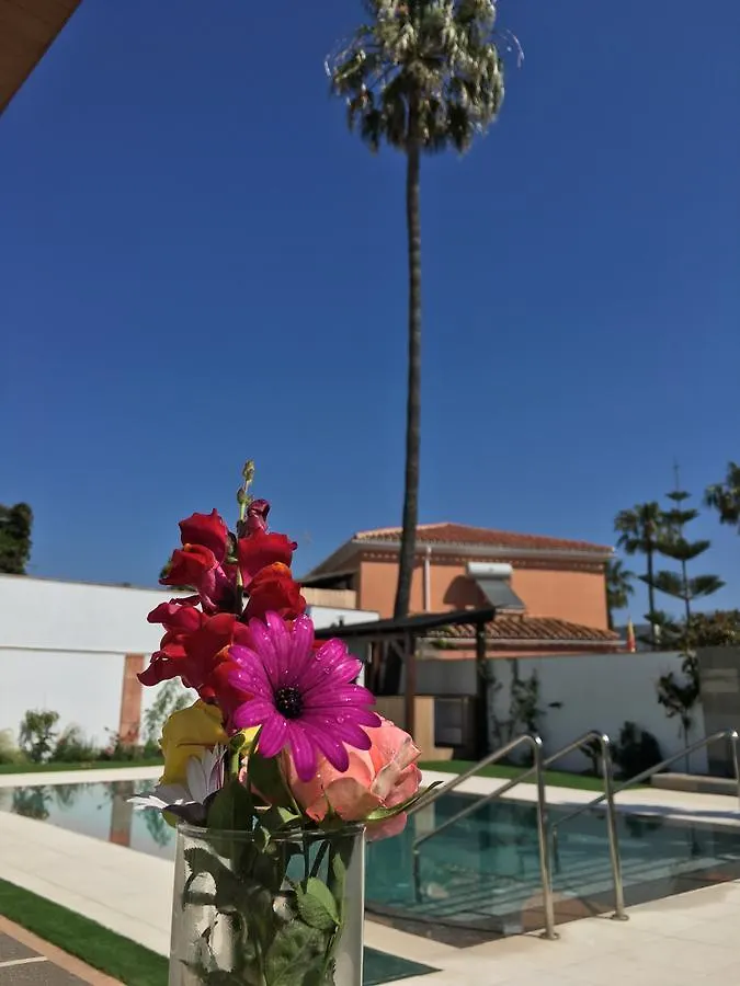 *** Penzion Hotel Pixel Torremolinos Španělsko